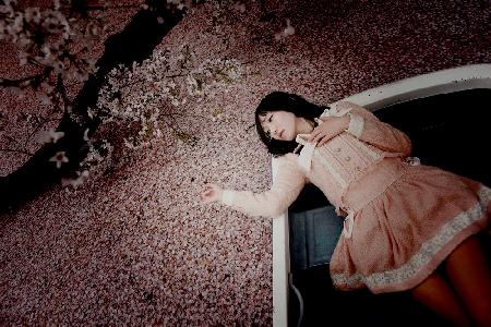 Cherry petals fall.