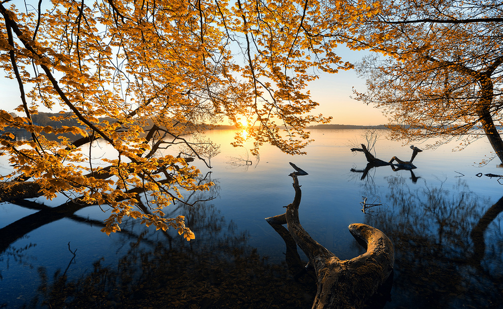 Autumn Morning von Keller