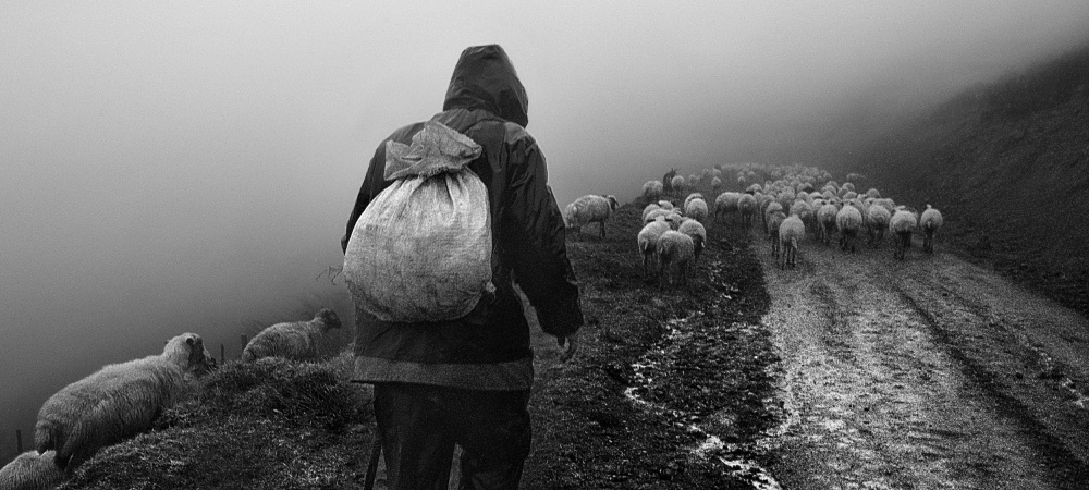 On the way home von Abbas Arabzadeh