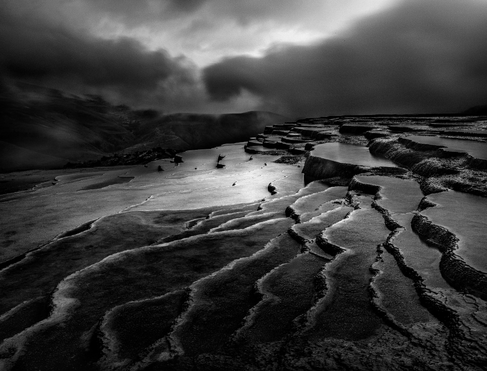 Lord of nature von Abbas Arabzadeh