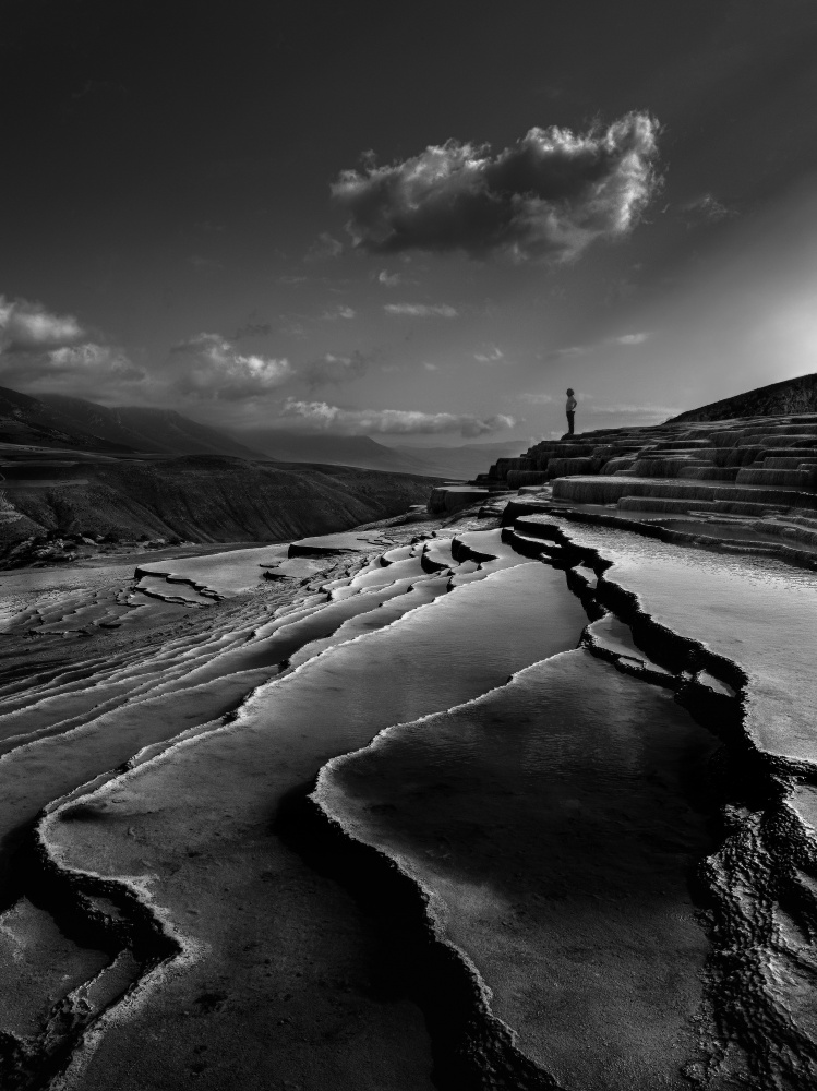 Lord of nature von Abbas Arabzadeh