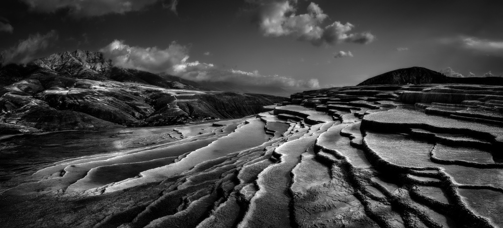 Lord of nature von Abbas Arabzadeh