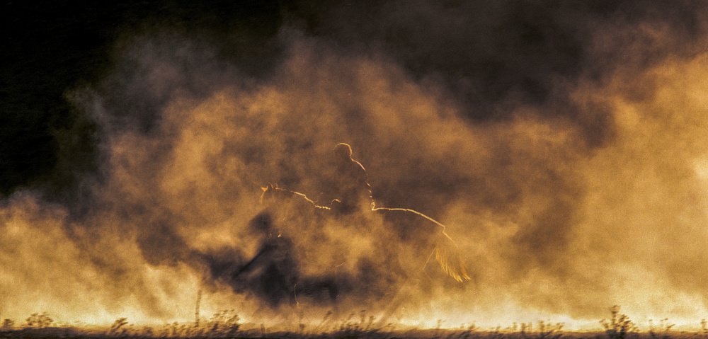 left in the dust von Abbas Arabzadeh