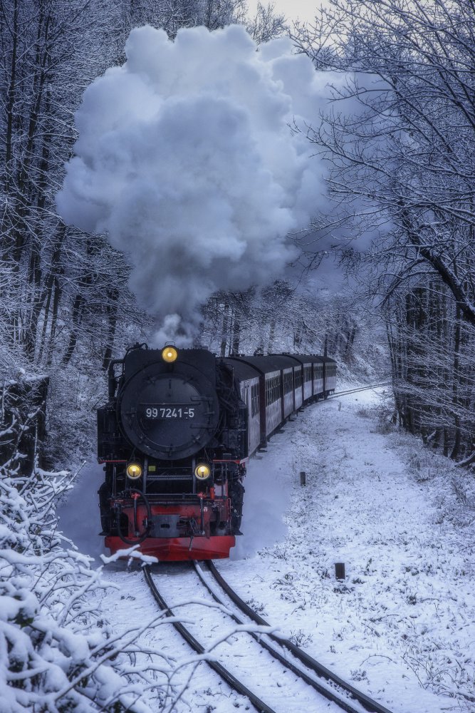 Gushing through the Frozen forest von Abhishek Dey