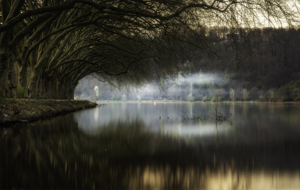 Hypnosis of Nature von Abhishek Dey