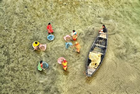 Fishing in low tide