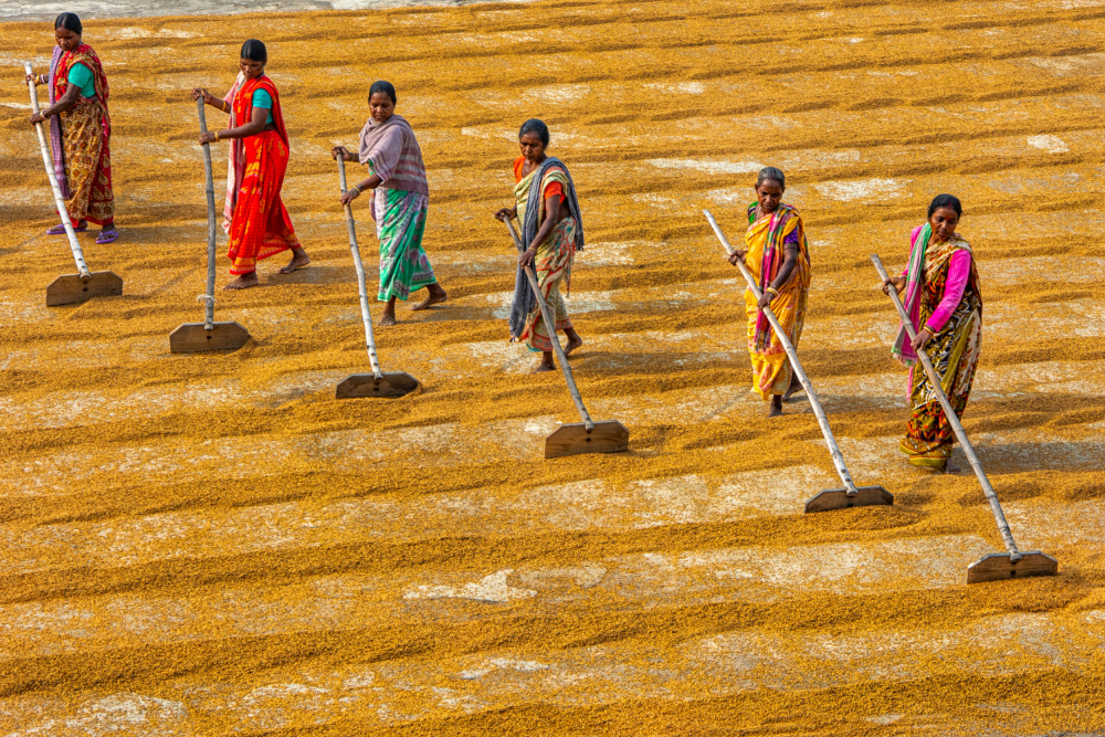 Women at work von Abhraneel Chakraborty