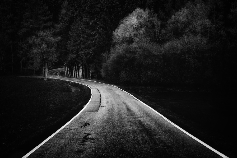 Bavarian Paths von Adam Dauria ☂