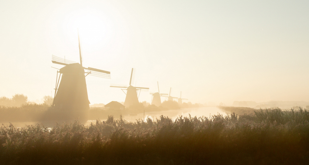 Kinderdijk von Adam Dauria ☂