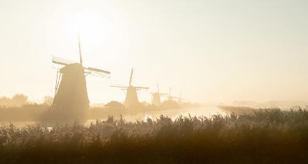 Kinderdijk