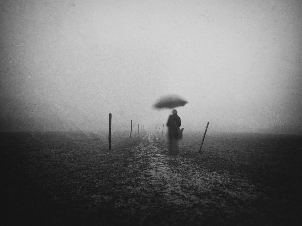 disappearing von Adam Dauria ☂