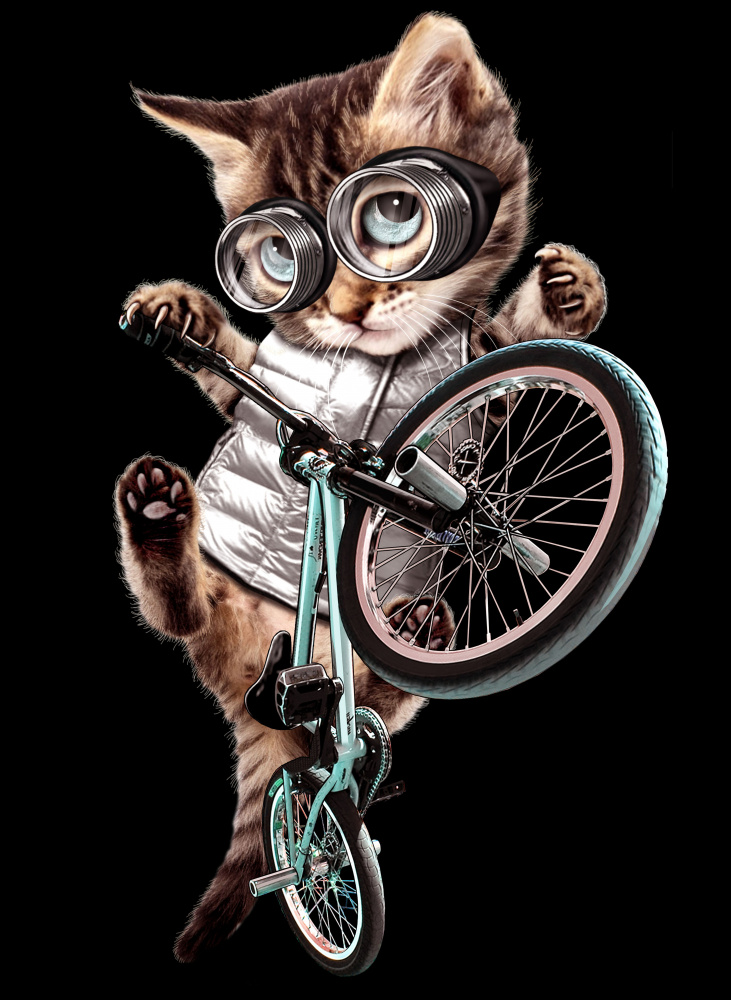 bmx cat von Adam Lawless