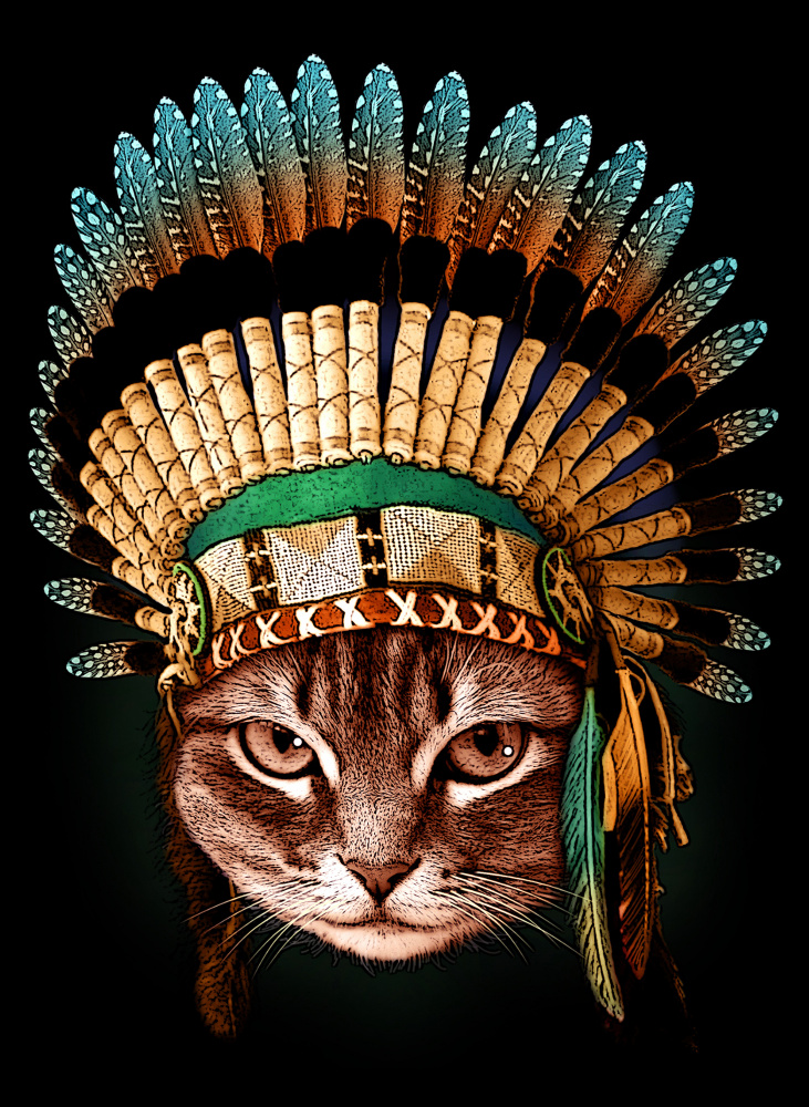 chief cat von Adam Lawless