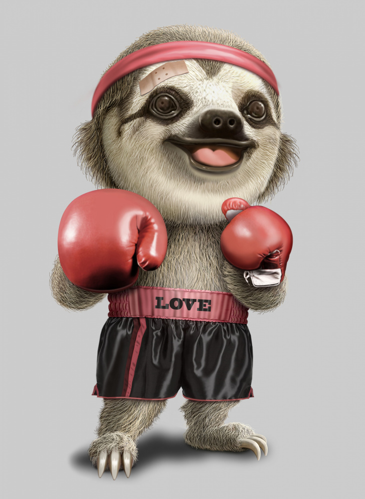 the boxing sloth von Adam Lawless