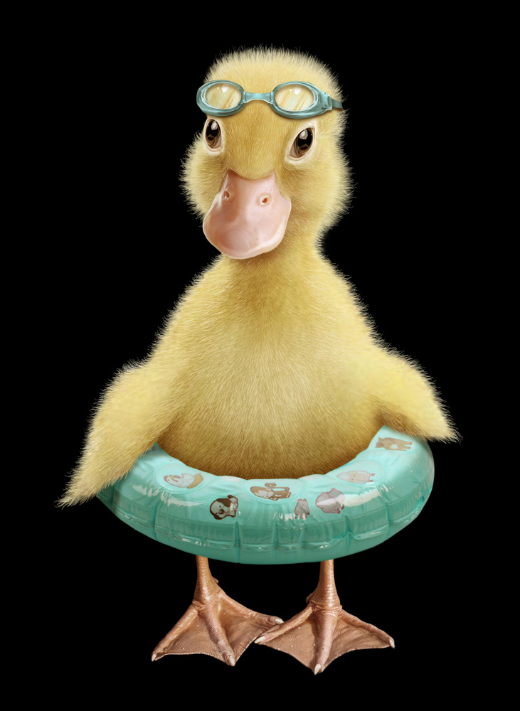 DUCK von Adam Lawless