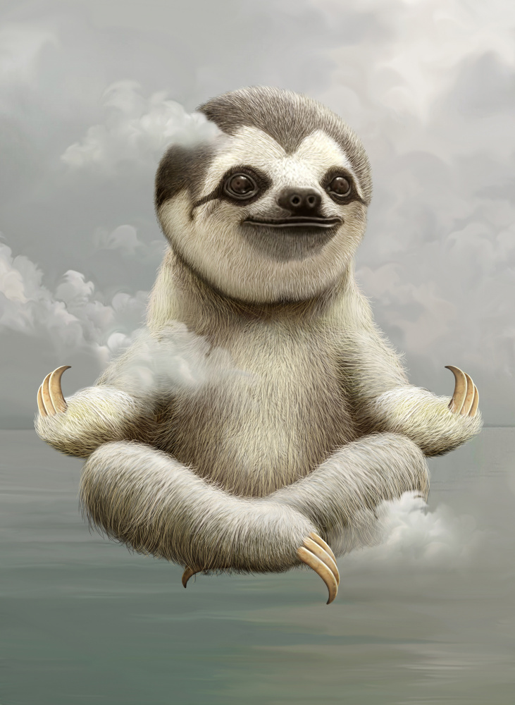 sloth meditating von Adam Lawless