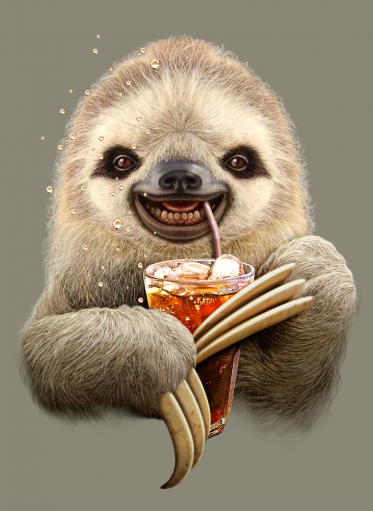 sloth and soft drink von Adam Lawless