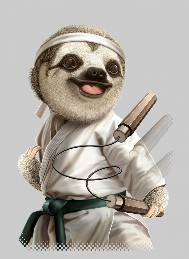 karate sloth von Adam Lawless