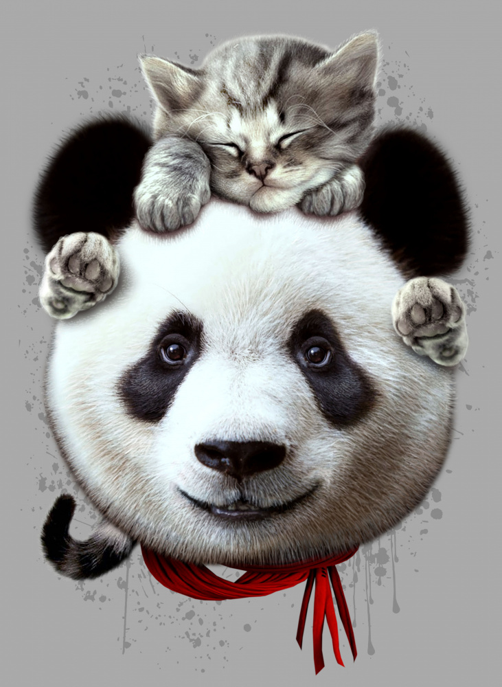 cat on panda bear von Adam Lawless