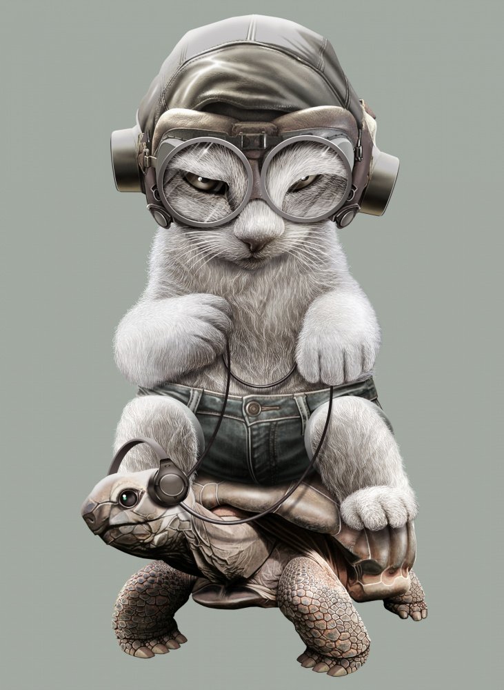 CAT RIDING TORTOISE von Adam Lawless