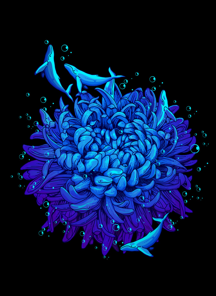 sea flower von Adam Lawless