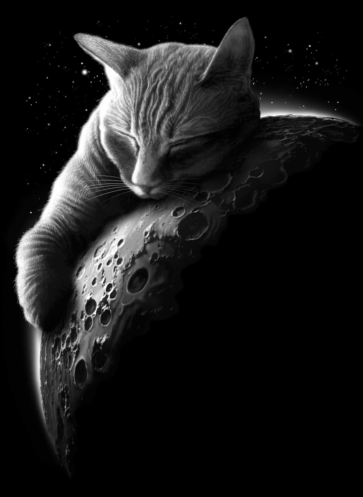 mooncat von Adam Lawless