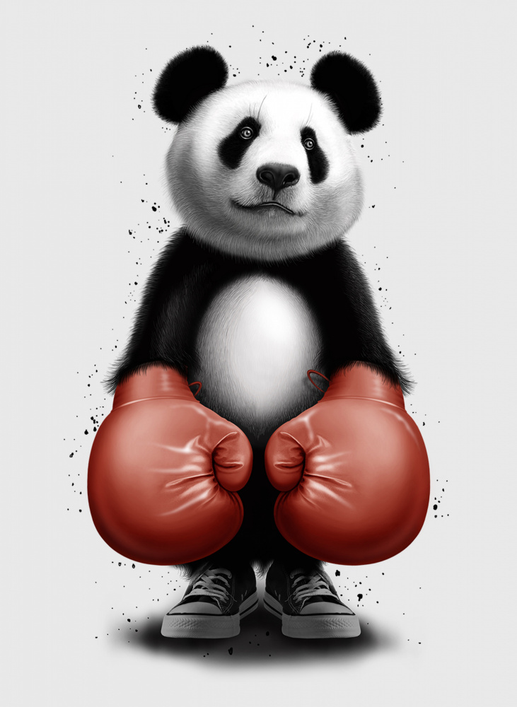 PANDA BOXER von Adam Lawless