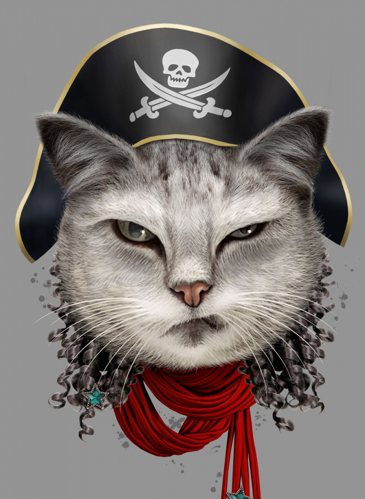 pirate von Adam Lawless