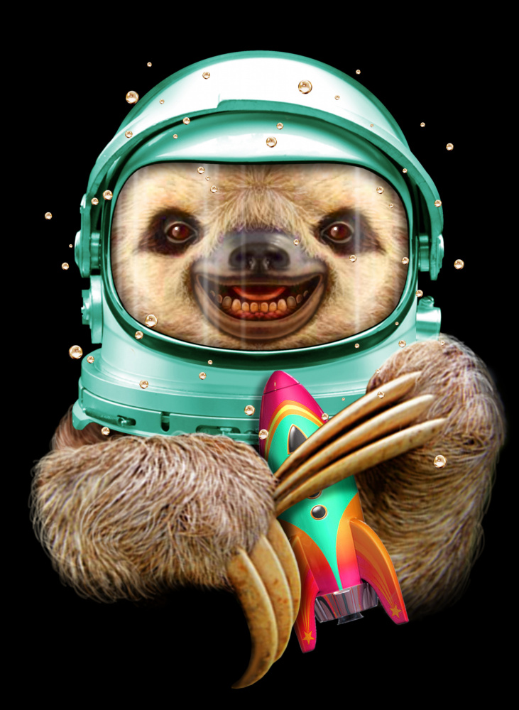 SPACESLOTH von Adam Lawless