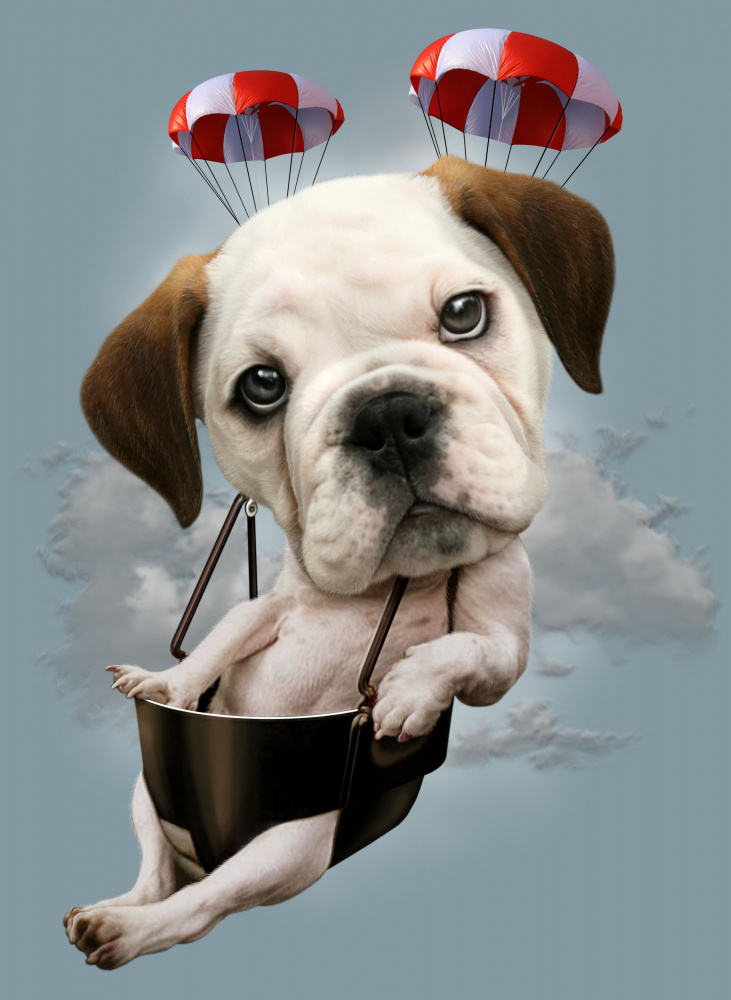 puppy on parachute von Adam Lawless