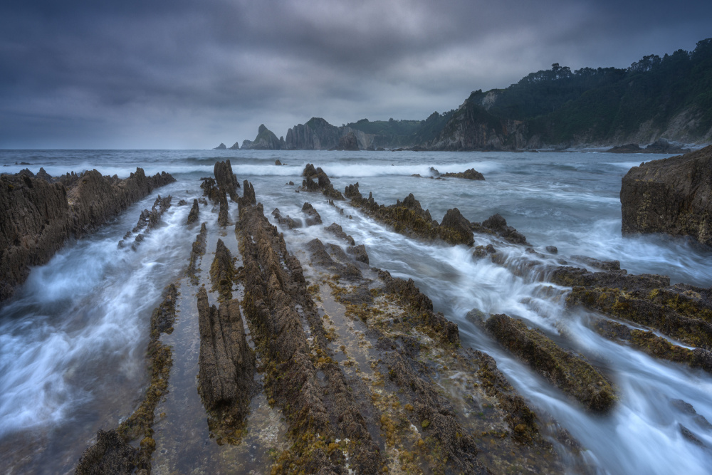 &quot;DRAGONS BEACH&quot; von Adam Pachula