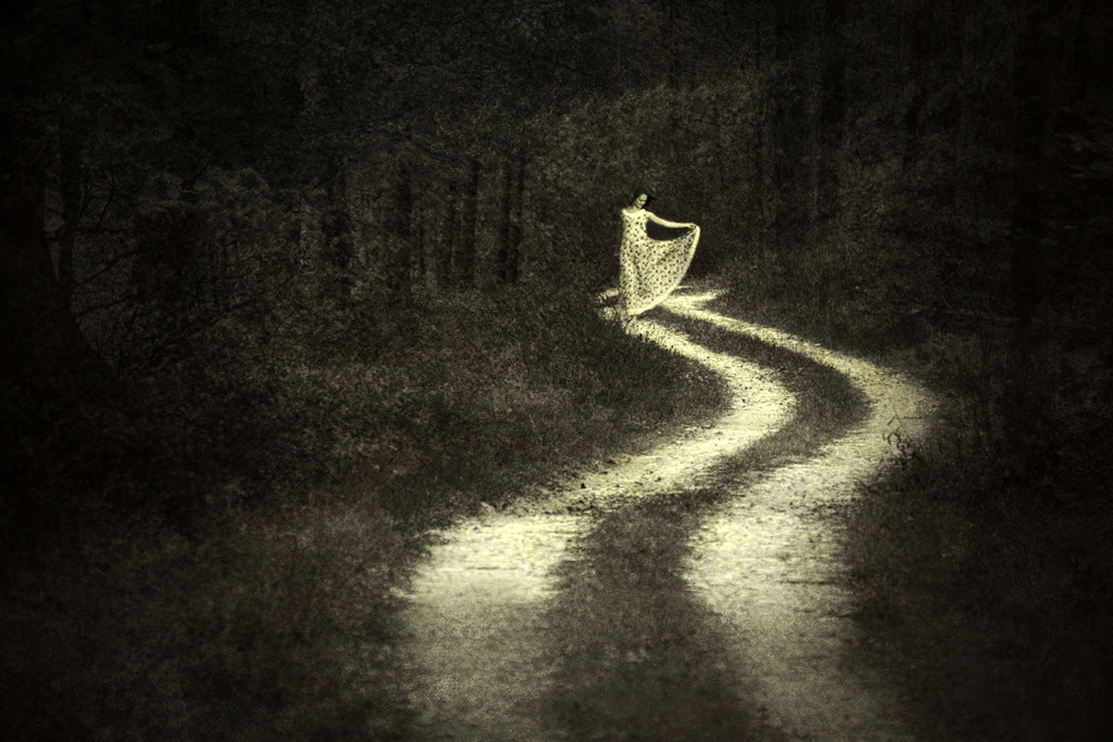 LIFE LIKE A ROAD IN THE FOREST von Adela Lia Rusu