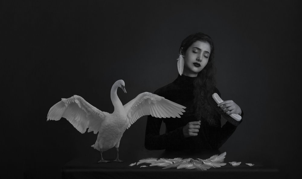 Black swan von Adelrashidi