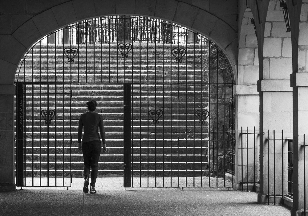 Crossing the gate von Adolfo Urrutia