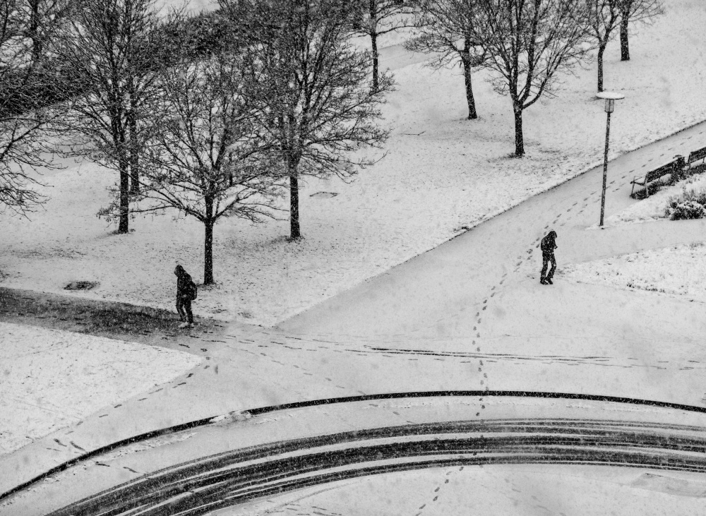 Under the snowfall von Adolfo Urrutia