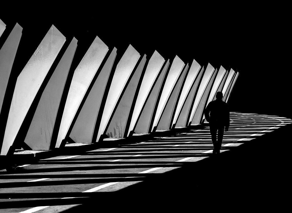 Between light and shadow von Adolfo Urrutia