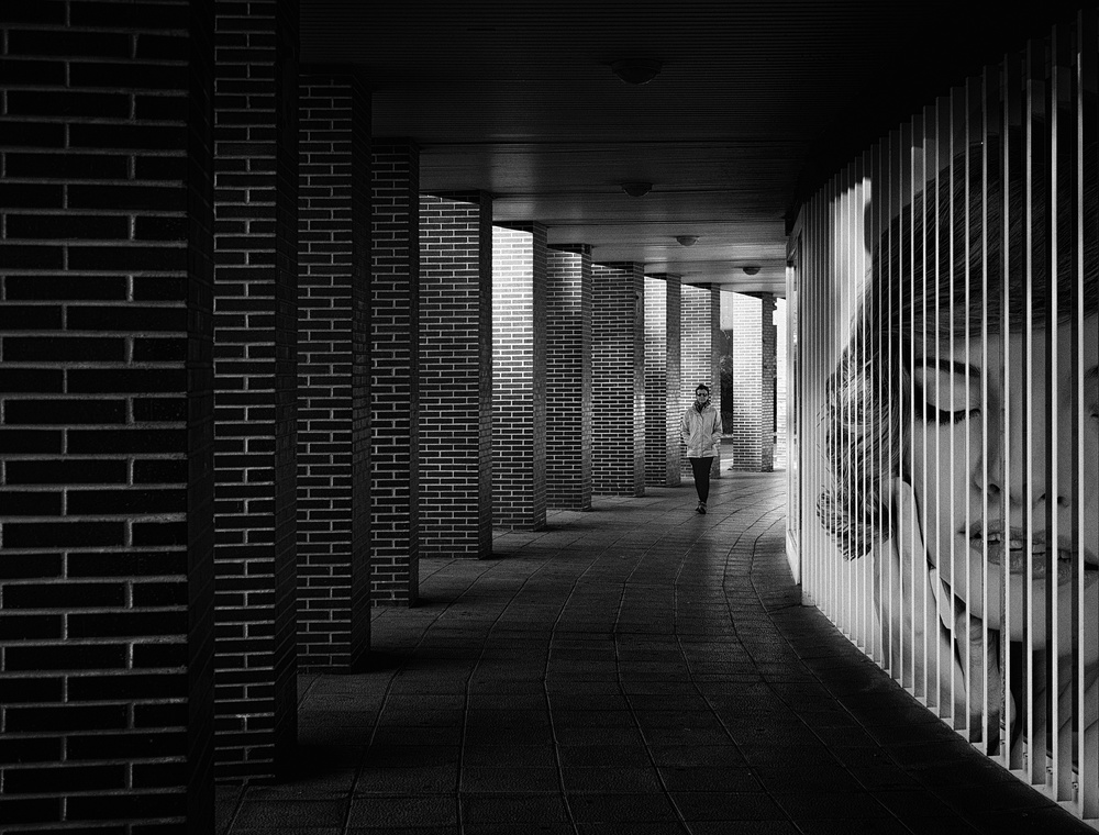 Between columns von Adolfo Urrutia