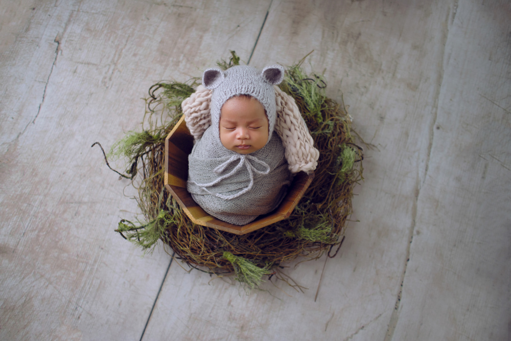 Babys nest von Adrian de Vera