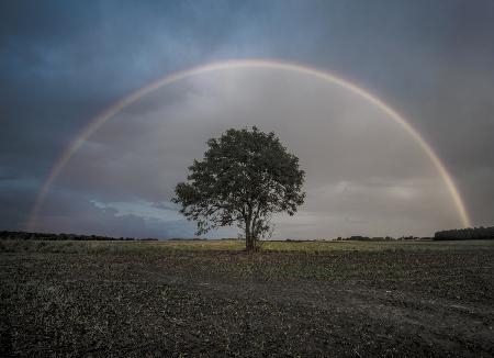 Atardecer de ensueño