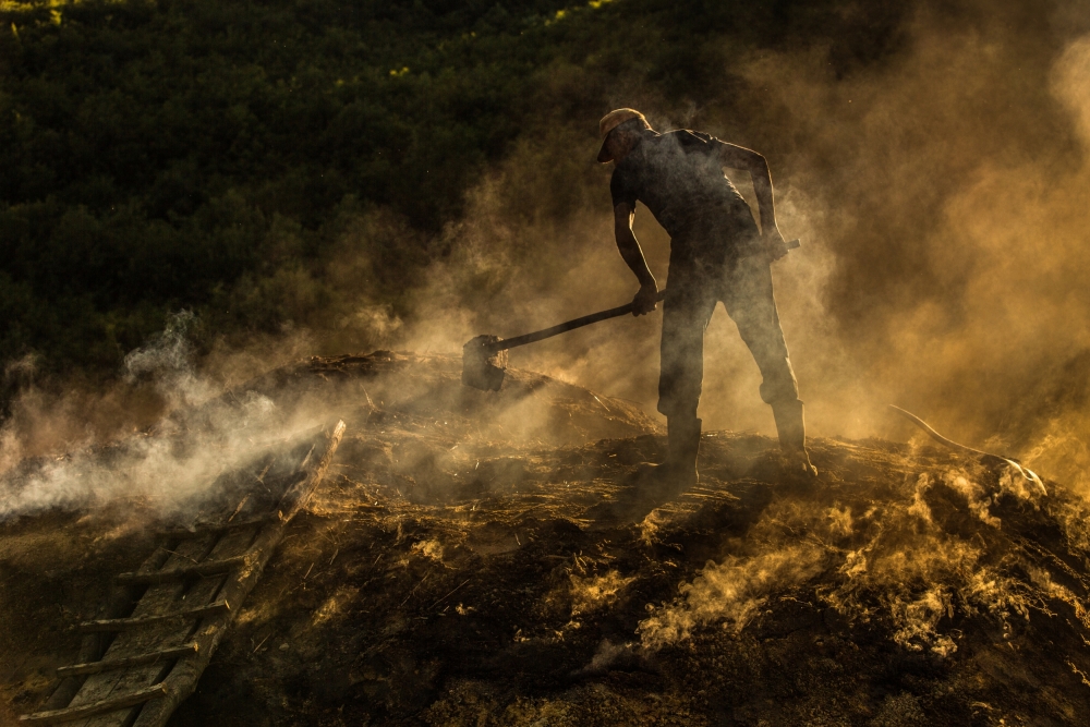 Charcoal factory I von Adrian Popan