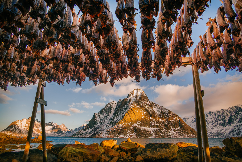 Stockfish in Lofoten von Adrian Popan