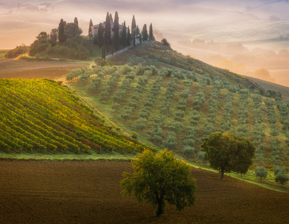 Tuscany von Adrian Popan