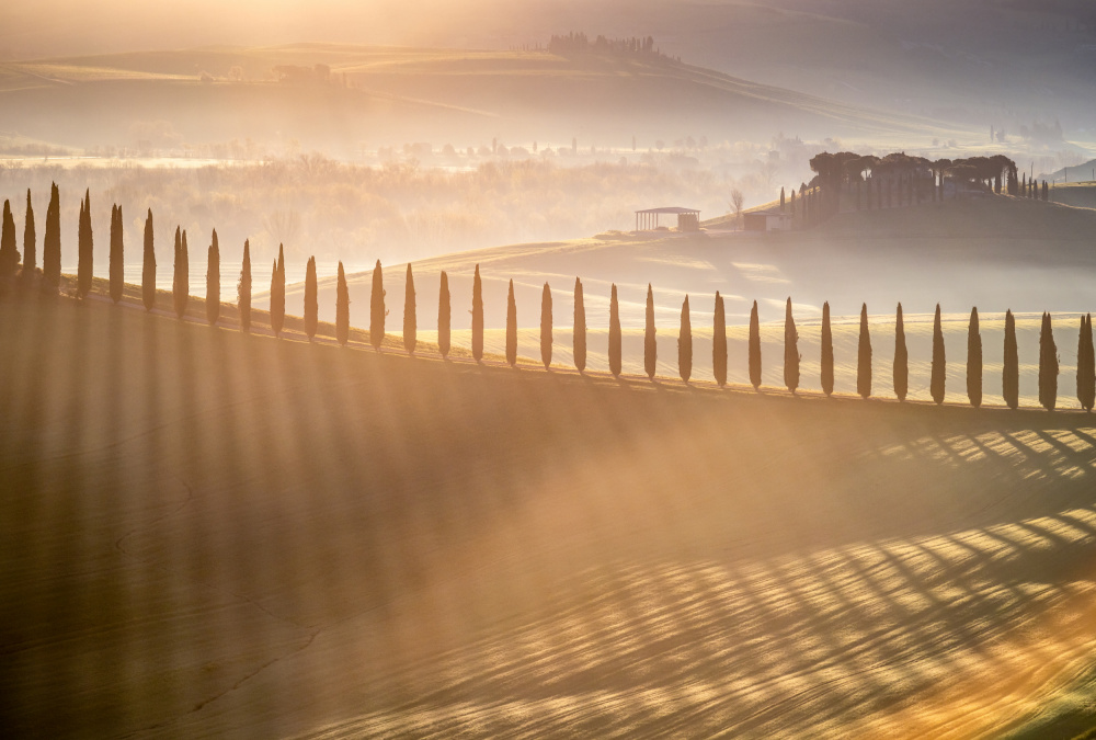 Tuscan Sunrise von Adrian Popan