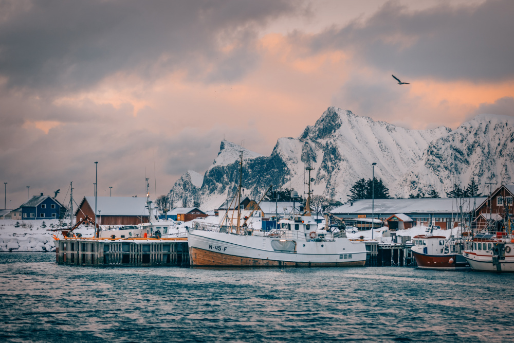 Twilight Harbour von Adrian Popan