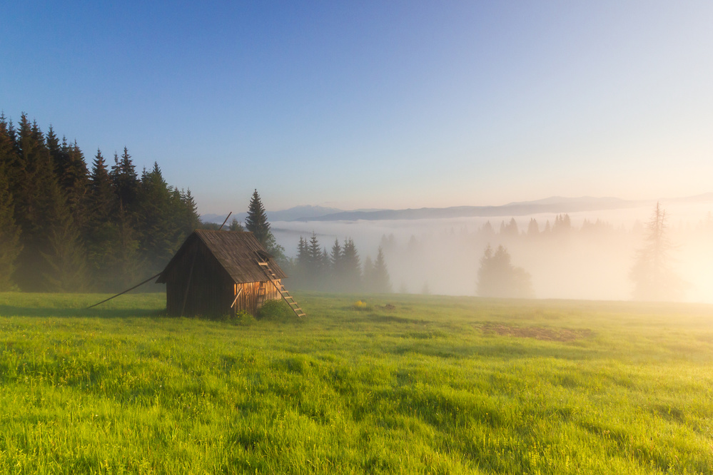 Morning in Bucuvina von ADRIAN TUDOSE