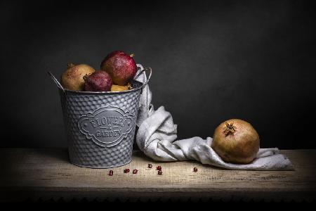 Fruit Bucket