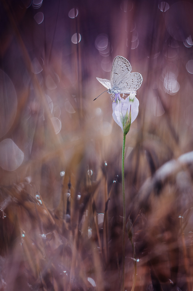 waiting von Ahmad Baihaki