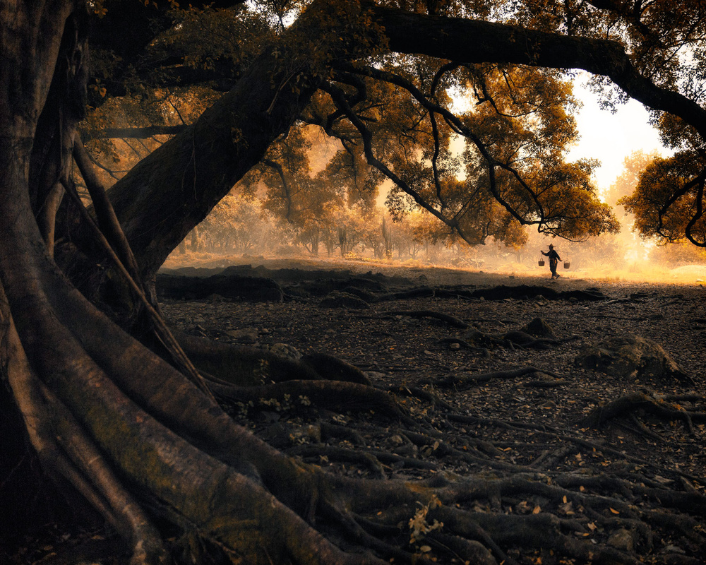 Ancient Autumn II von Ahmed Abdulazim