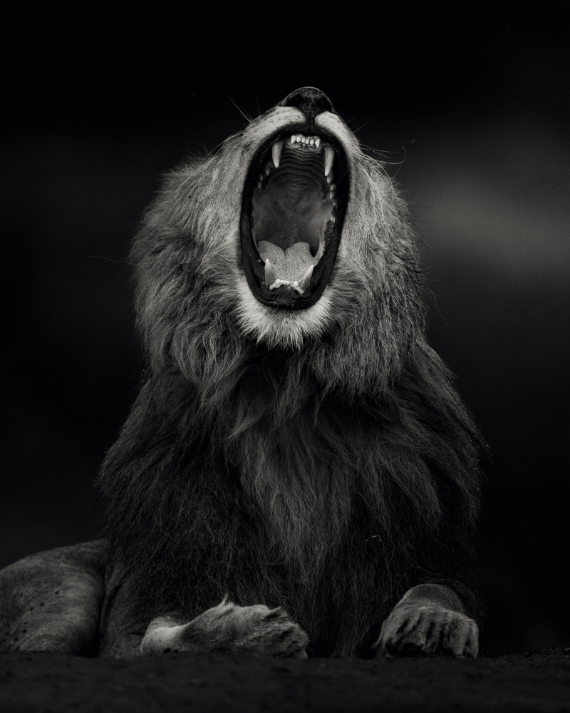 Yawning von Ahmed Sobhi