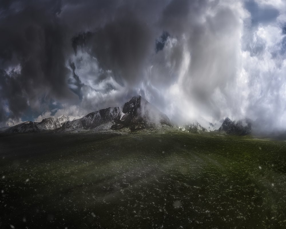 In the Face of the storm von Ahmed Sulaiman Alshehhi